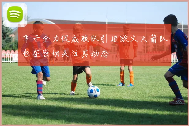 华子全力促成狼队引进欧文火箭队也在密切关注其动态